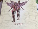 Nirvana In Utero 20th Anniversary Deluxe Edition