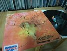MOTHERHOOD (DOLDINGER) SAME LP 1970 MINT KRAUT. MONSTER