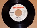 PINK FLOYD Another Brick in the Wall (Part II) 1979 Columbia wlp promo 45 rock