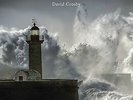 Lighthouse - David Crosby (2016, Vinyl NEUF)