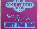 NEW CONNECTION BAND VOL 2 Just For You Canadian ISLAND FUNK SOUL LP Rare Listen