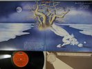 LOCANDA DELLE FATE FORCE LE LUCCIOLE NON SI AMANO PIU' POLYDOR 23MM0148 Japan LP