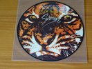 SURVIVOR - EYE OF THE TIGER : EX+ VERY RARE PICTURE DISC 7” SINGLE -SCTA 11-2411