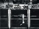 Harley Flanagan - Cro-mags NEW LP