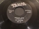 The Sparklers - Dreamy Eyes * Tampa Doo Wop 45 Rare