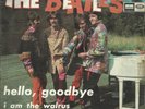 BEATLES HELLO GOODBYE/I AM THE WALRUS SPAIN Odeon great picture sleeve