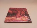 Bathory - Hammerheart 2LP orange Vinyl Falkenbach Celtic Frost Darkthrone