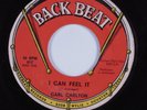 Northern Soul 45 LITTLE CARL CARLTON I Can Feel It BACK BEAT HEAR