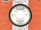 Musterplatte / Promo Ted Herold Ich bin ein Wanderer / Hula moon baby