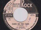 Al Downing with The Poe Kats 