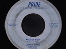 CURTIS LONG: Koosey Coo 45 (minor playable warp) Rockabilly