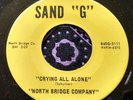 Rare Illinois Garage Psych 45 North Bridge Company Crying / Strange SAND G HEAR