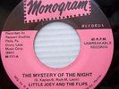 LITTLE JOEY & the FLIPS doowop 45 HOT ROD MYSTERY OF THE NIGHT mint minus F1071