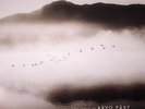 VARIOUS/ARVO PART - The Sound Of Arvo Part - Vinyl (gatefold LP)
