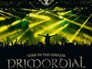 PRIMORDIAL - gods to the godless (live at BYH 2015) DLP black