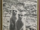 HANS REICHEL & ACHIM KNISPEL/ERDMÄNNCHEN*1977 FMP*EROC/CONNY PLANK
