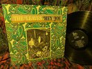 SCARCE 1966 ORIG   THE LEAVES   HEY JOE   HIP SUNSET STRIP FUZZ GARAGE FOLK ROCK