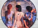 PINK FLOYD  RARE BEAUTIES  NEW   PICTURE DISC LP   FREE SHIPPING   SEXY NUDE