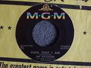 NORTHERN GROUP SOUL 45 The Solitaires Fool That I Am MGM 13221 M- HEAR MP3