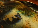 PINK FLOYD  ? A SAUCERFUL OF SECRETS ? UNGESPIELT   MINT IN SHRINK COLUMBIA