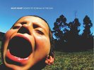 Have Heart - Songs to Scream at the Sun