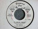 NORTHERN SOUL 45 The Tempos I'll Never Forget Diamond Jim 8792 Promo RARE HEAR
