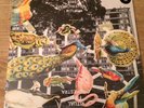 Fire Orchestra LP + CD Mint Jazz Mats Gustafson Sealed FREE UK P&P