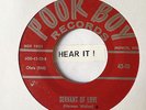Rockabilly; Van Brothers; Servant Of Love / Sweet Marie on POOR BOY rare re