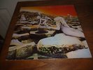 Led Zeppelin Houses of The Holy Vinyl LP