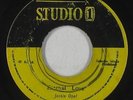 Roots Reggae 45 - Junior Murvin - Police And Thief - Wild Flower - VG++ mp3