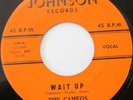 THE CAMEOS Lost Lover b/w Wait Up 45 DOO-WOP JOHNSON 108
