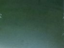 Kendrick Lamar Autograph Signed Untitled Unmastered Vinyl LP Sealed New Record