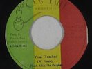 Roots Reggae 45 - Black Skin The Prophet - Your Teacher - Cry Tuff - mp3