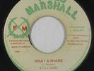 Roots Reggae 45 - Still Cool - What A Shame - Field Marshall - mp3