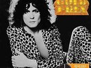 T-Rex-Solid Gold: T-Rex  (US IMPORT)  VINYL NEW