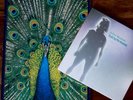Bluetones Expecting To Fly LP sheet music book + 7