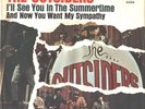 OUTSIDERS--RARE FINAL PICTURE SLEEVE--(I'LL SEE U IN THE SUMMERTIME)--PS--PIC--
