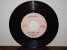 Vontastics-You Can Work It Out-Never Let Your Love Grow Cold-Soul?-Garage?-45