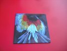 Friendly Fires Pala Vinyl Double LP XL Records XLLP 530 2011