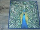 The Bluetones - Expecting To Fly 1996 UK VINYL LP SUPERIOR QUALITY 1st