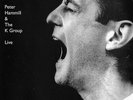 2xLP Peter Hammill & The K Group The Margin (Live) NEAR MINT Foundry Records