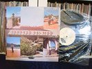 BERTIN GOMEZ Y SU CONDESA DEL MAR | Julia - Por que me engañaste | LP EX