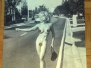 MADONNA SEX NUDE POSTER 84x60 *ROLLED* MINT