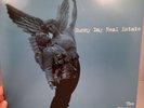 Sunny Day Real Estate - The Rising Tide (2000 2LP Green Vinyl Gatefold Sleeve)