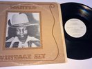 SLY STONE Wanted Vintage Sly VINYL LP Rare SUBBARAO 1977 Soul DOO WOP Funk