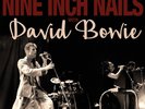 David Bowie Nine Inch Nails - Back In Anger vol1 Live 95 2x vinyl