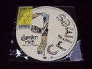 DAMIEN RICE 