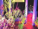 Warehouse: Songs and Stories by Hüsker Dü (Vinyl, Nov-2014, Rhino (Label))
