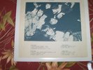 Rolling Stones - European Tour Live 1970  Records 2XLP