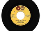 THE MARVELETTES - TOO MANY FISH IN THE SEA - TAMLA - EXCELLENT CONDITION